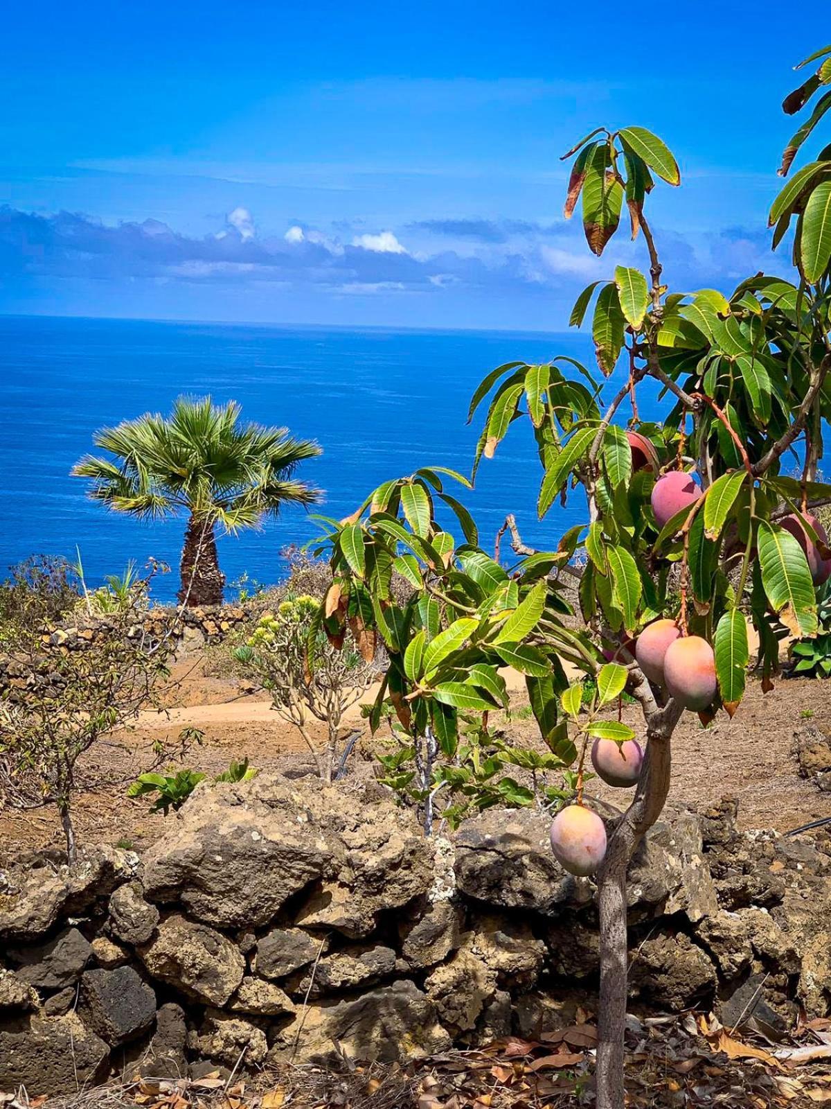 Pozo de las Calcosas La Torreヴィラ エクステリア 写真